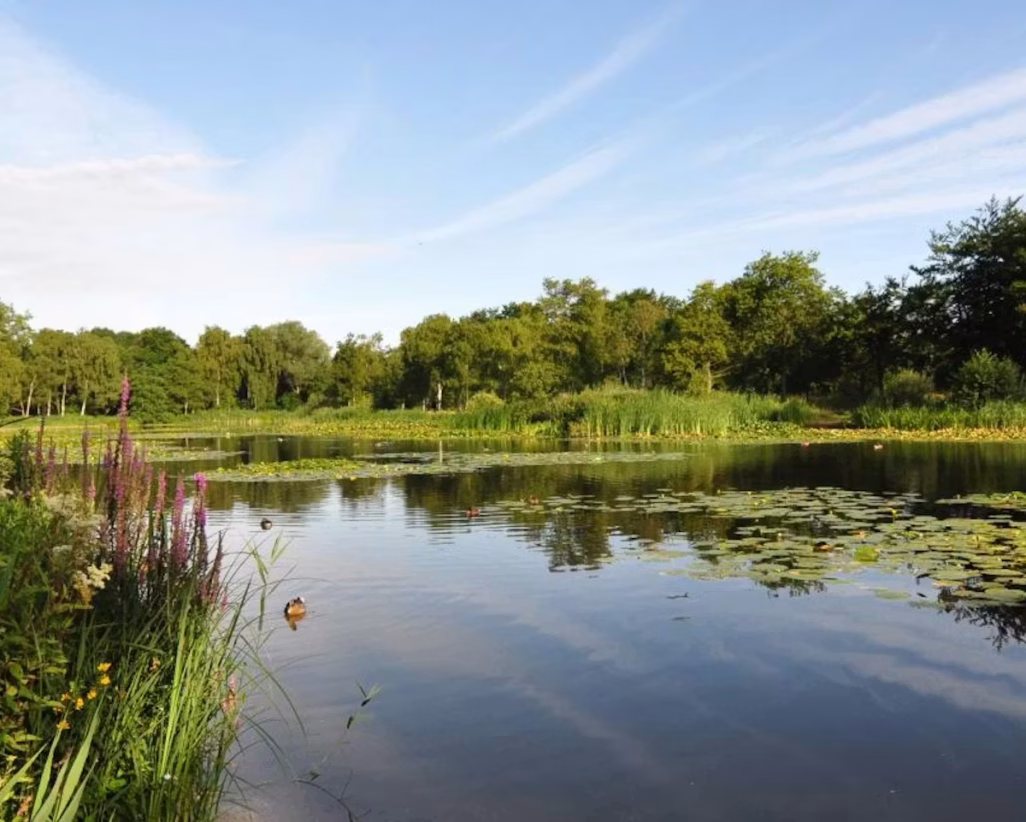4e-prijs_tenellaplas_m_c_berg_fotowedstrijd_de12landschappen