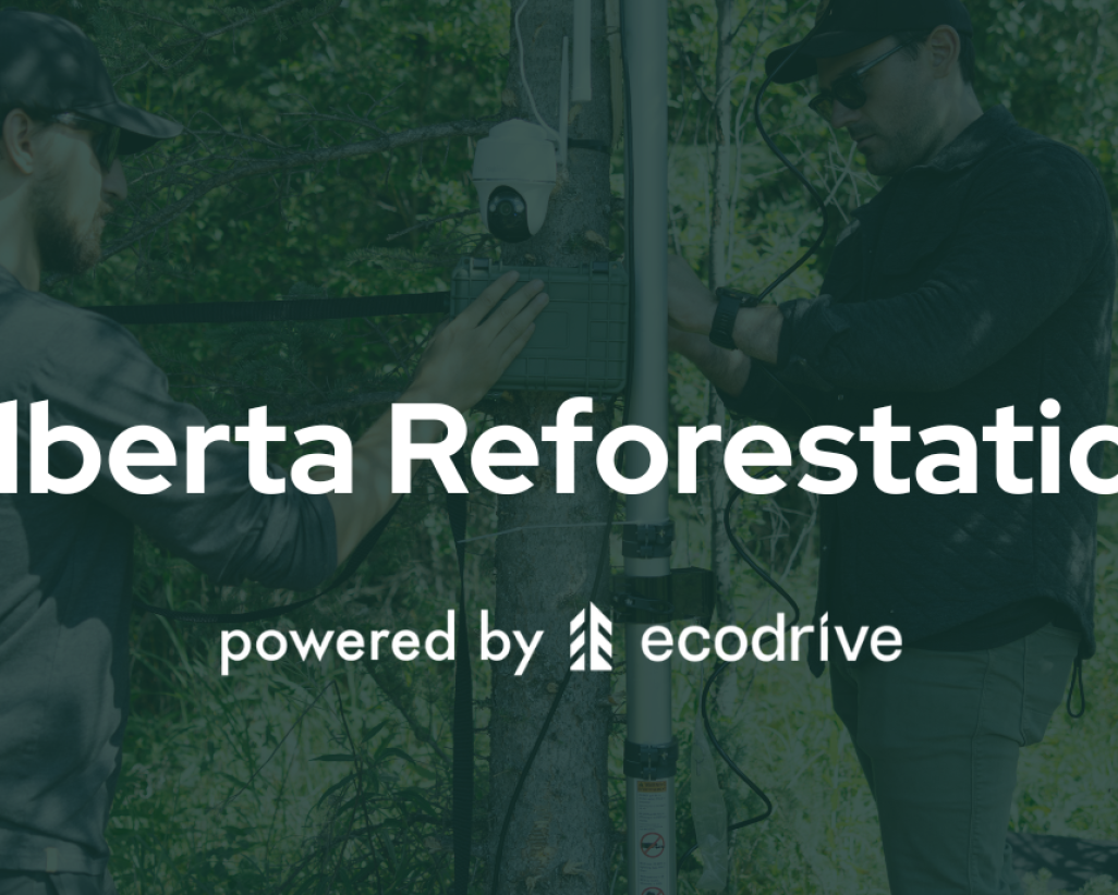 68704bf9399daf519a9c74cc_Alberta Reforestation