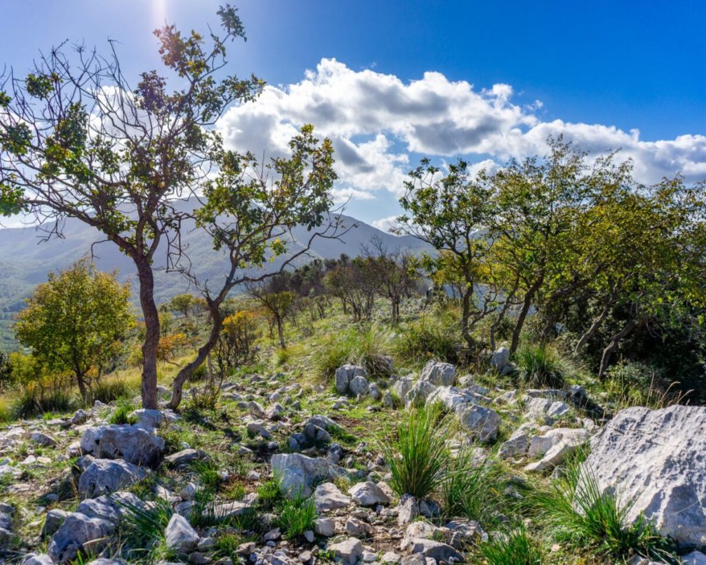 DSC06630-scaled-1440x0-c-default