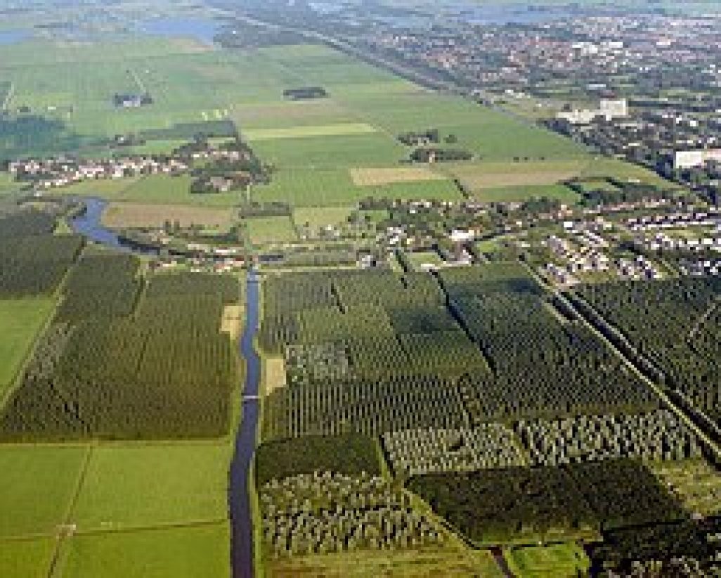 Leeuwarder_bos_van_boven_af