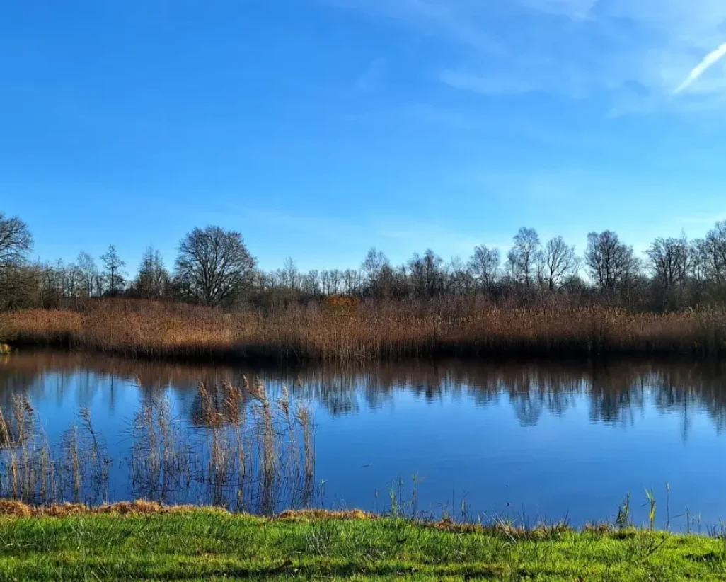 Meestersveen-foto-Anouk-Heling-scaled Meestersveen-foto-Anouk-Heling-scaled