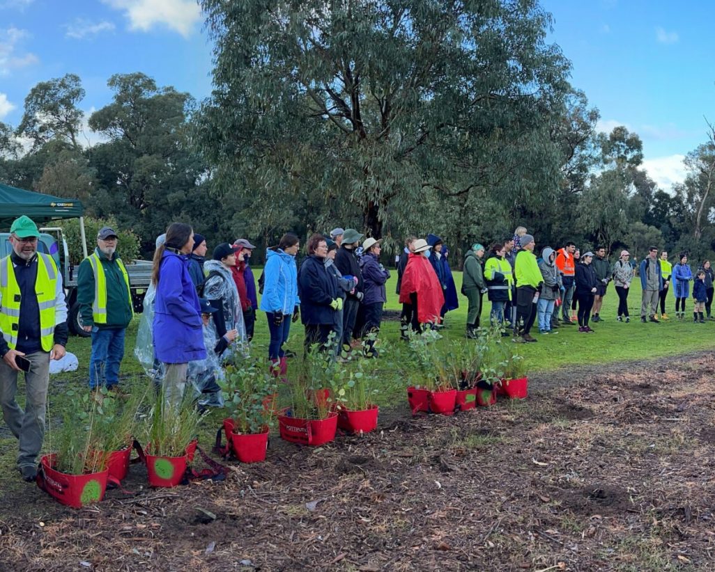 WA -Perth planting