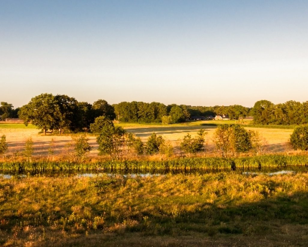countryside