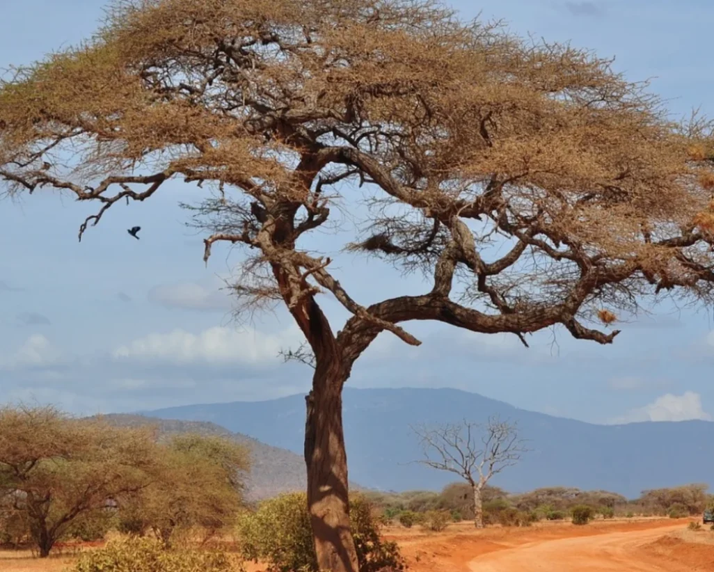 f2ecd11d-78a8-4daa-9121-c072b81fbf16